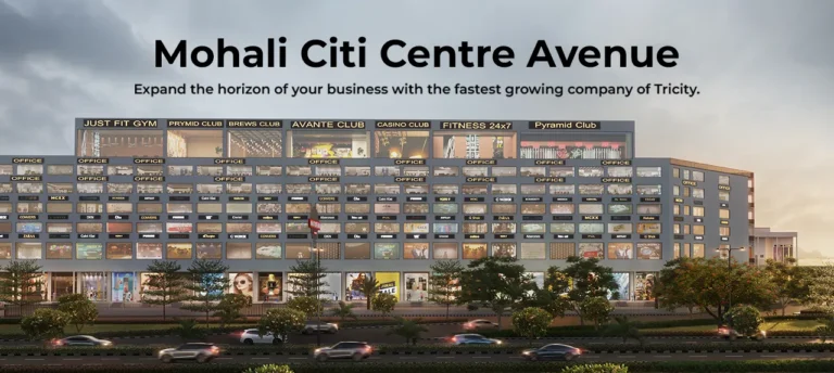 Mohali City Centre Avenue Pic